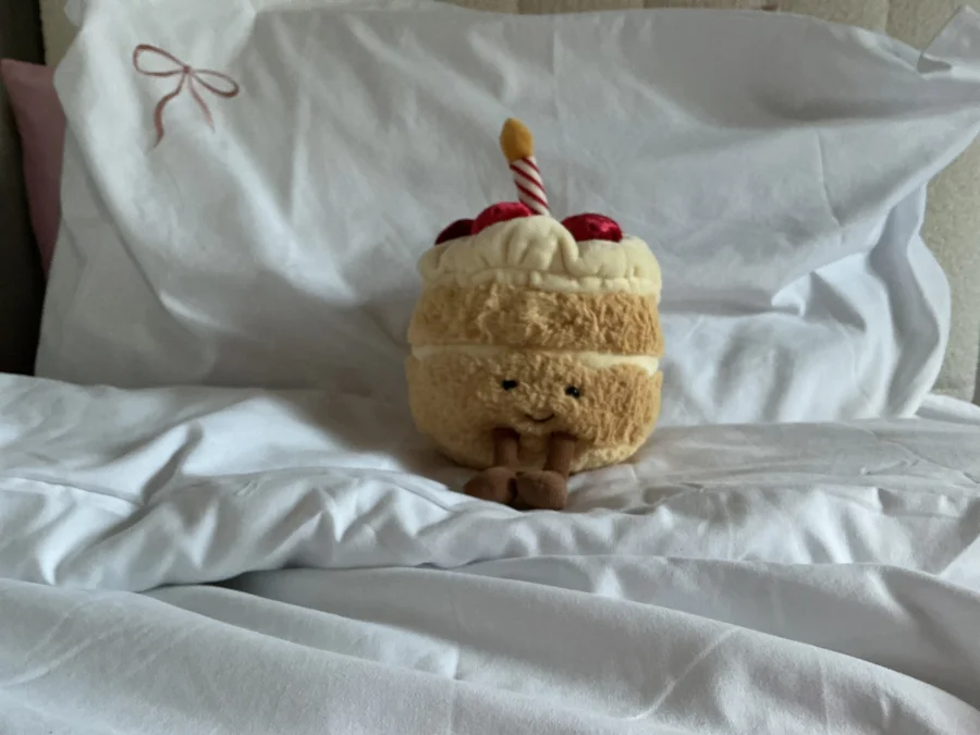 Front - Amuseables Birthday Cake photo by NaanaB15