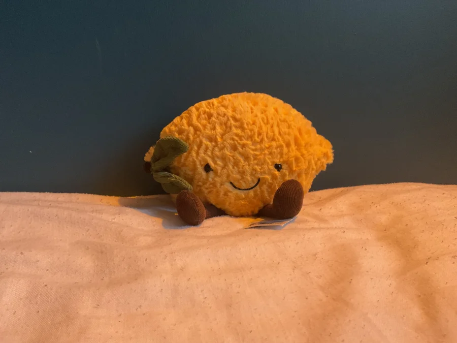 Front - Amuseables Lemon photo by JELLYCAT102