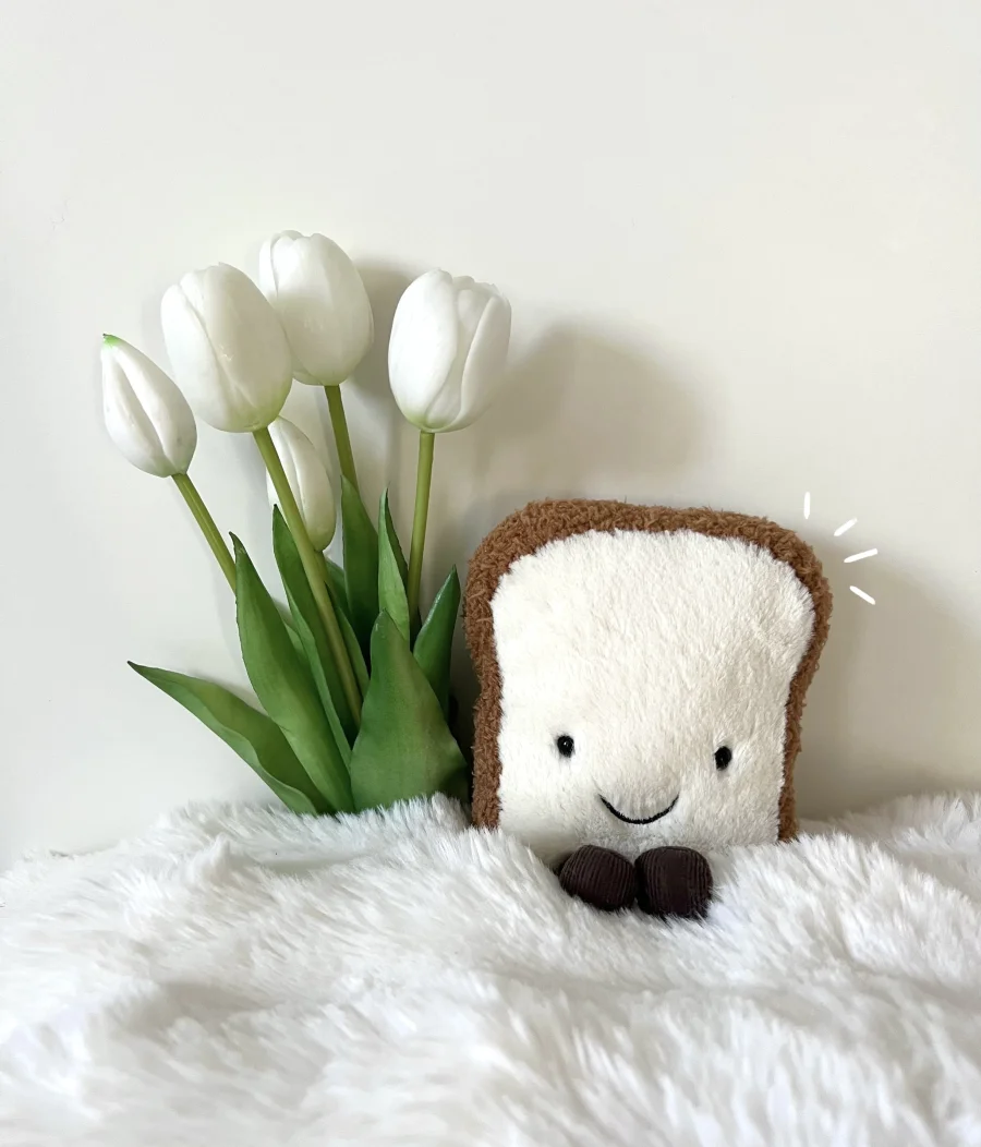Front - Amuseables Toast photo by Cutejelliesdiary