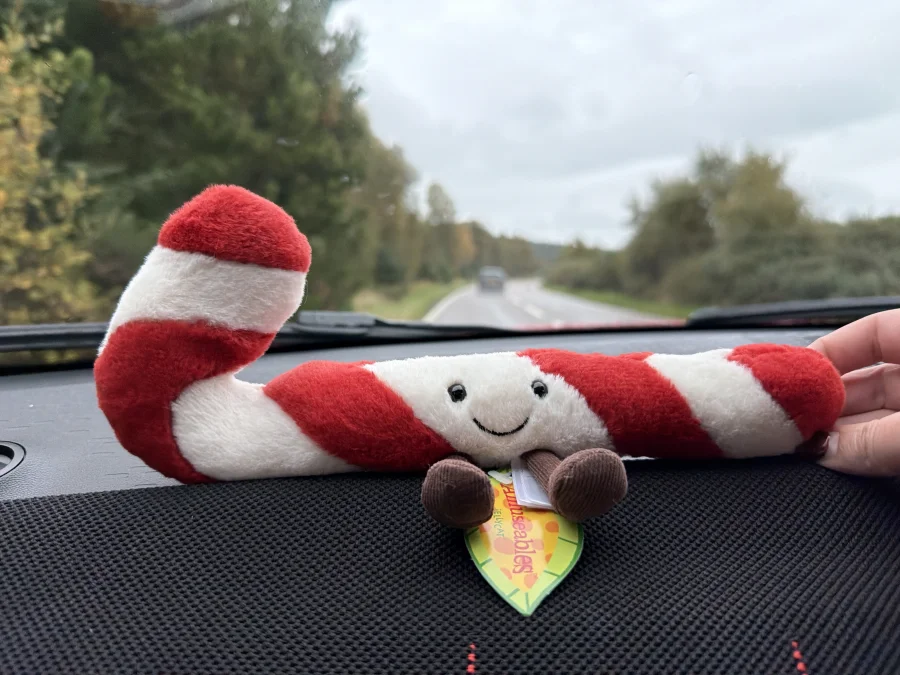 Front - Amuseables Candy Cane - Little photo by Madison_Marie