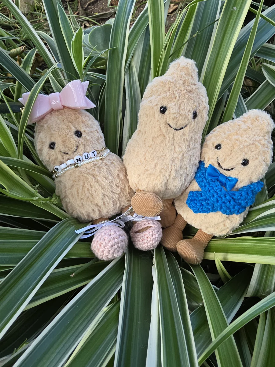 Lifestyle - Amuseables Peanut photo by QtJellies