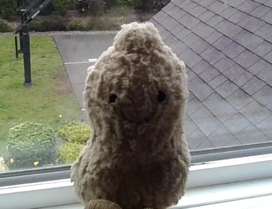 Front - Amuseables Peanut photo by Cropacute