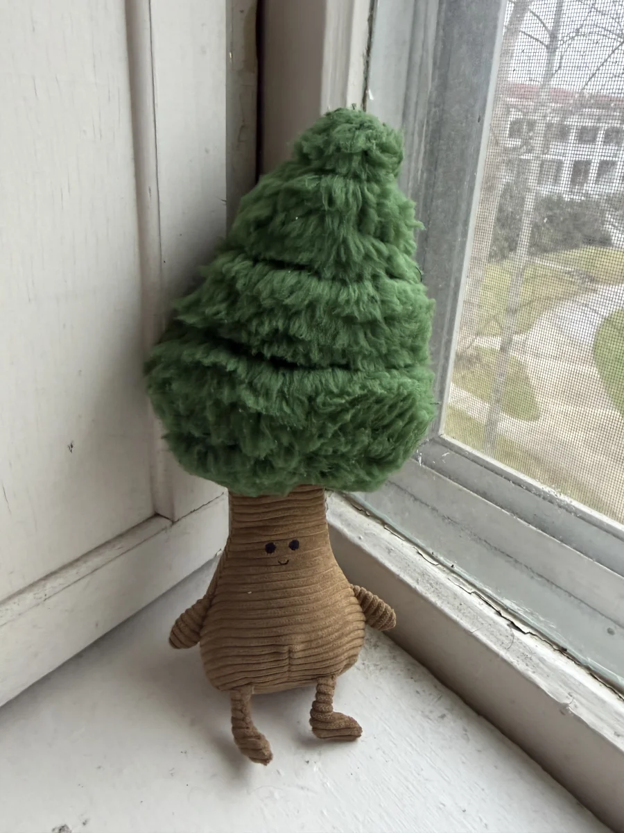 Front - Forestree Pine photo by katsjellies