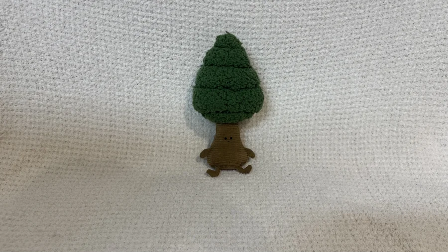 Front - Forestree Pine photo by crim