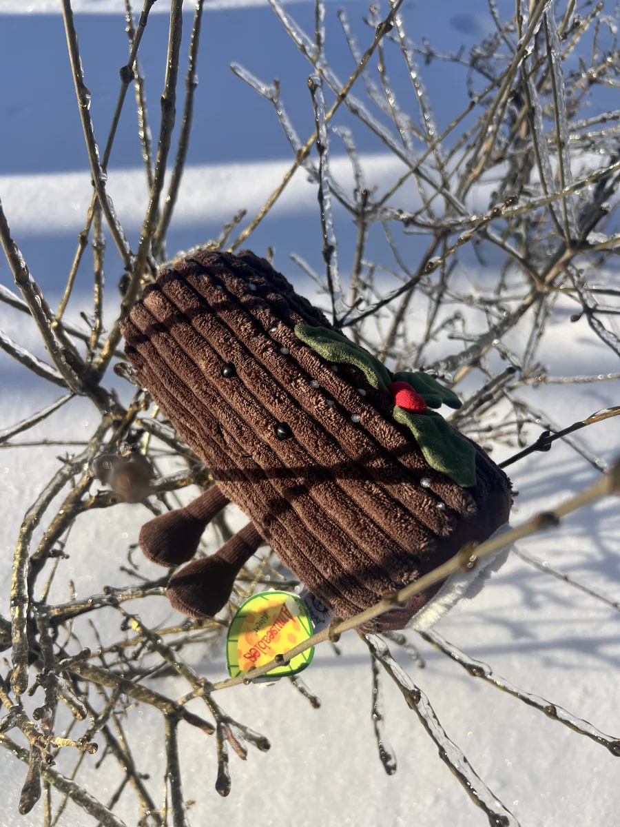 Lifestyle - Amuseables Yule Log photo by Deka