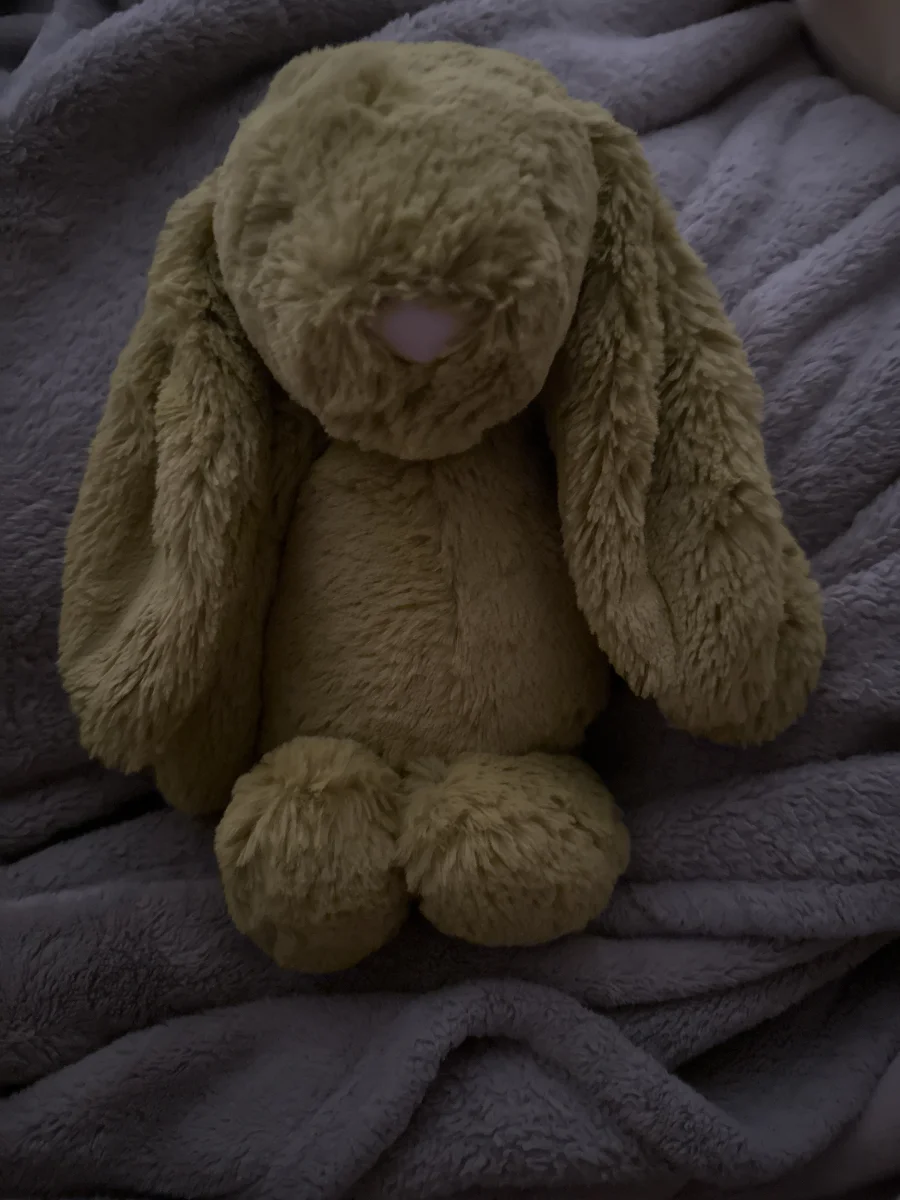 Front - Bashful Moss Bunny - Medium photo by Brooklynsjellys