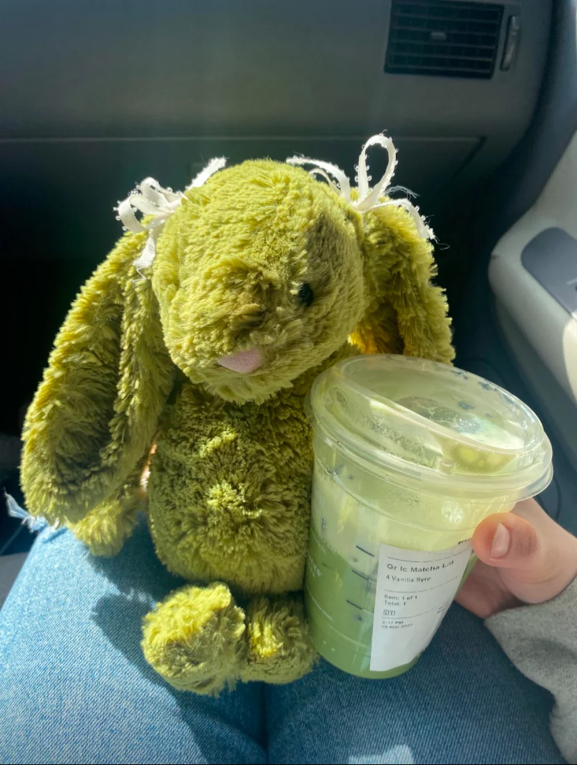 Lifestyle - Bashful Moss Bunny - Medium photo by grayce