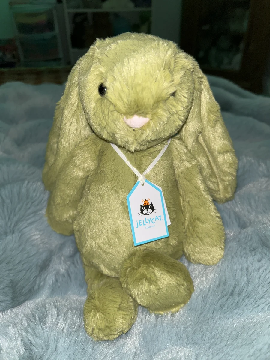 Front - Bashful Moss Bunny - Medium photo by Harper_hello
