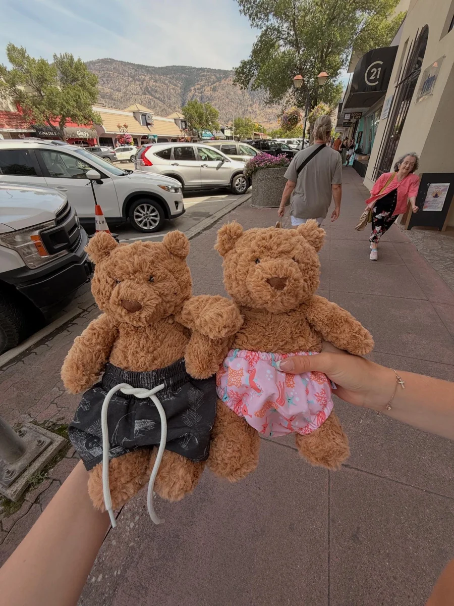 Front - Bartholomew Bear - Medium photo by tjohnson1217