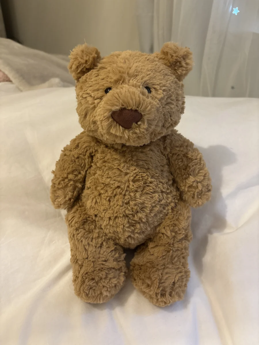 Front - Bartholomew Bear - Medium photo by saigesjellies