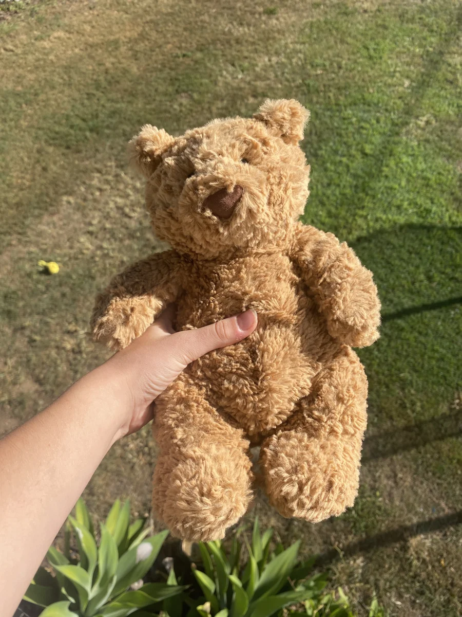 Front - Bartholomew Bear - Medium photo by zodihopbunny