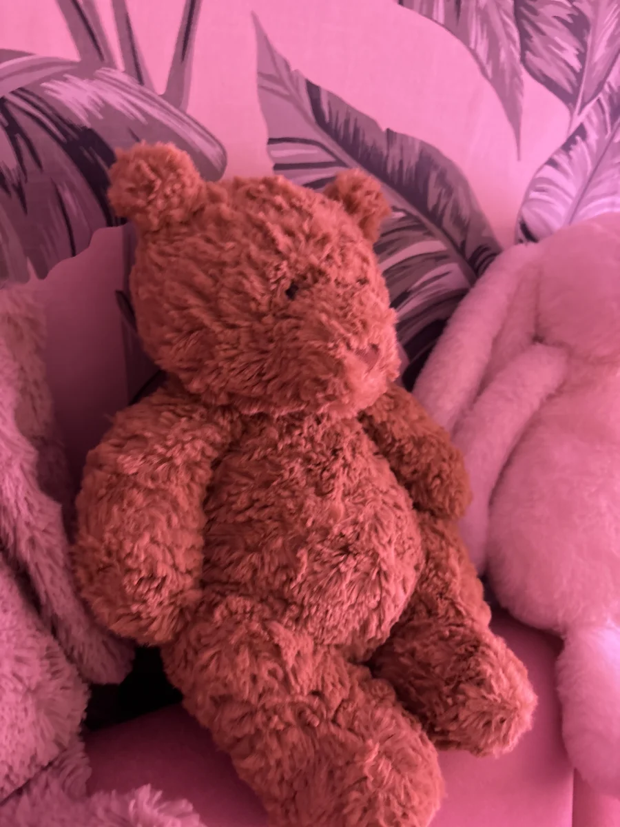 Front - Bartholomew Bear - Large photo by Tillyjellyluv
