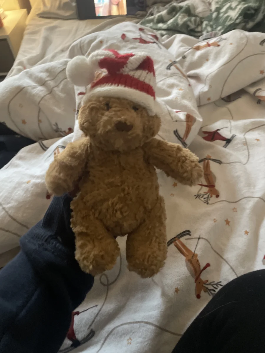 Front - Bartholomew Bear - Large photo by Pips215