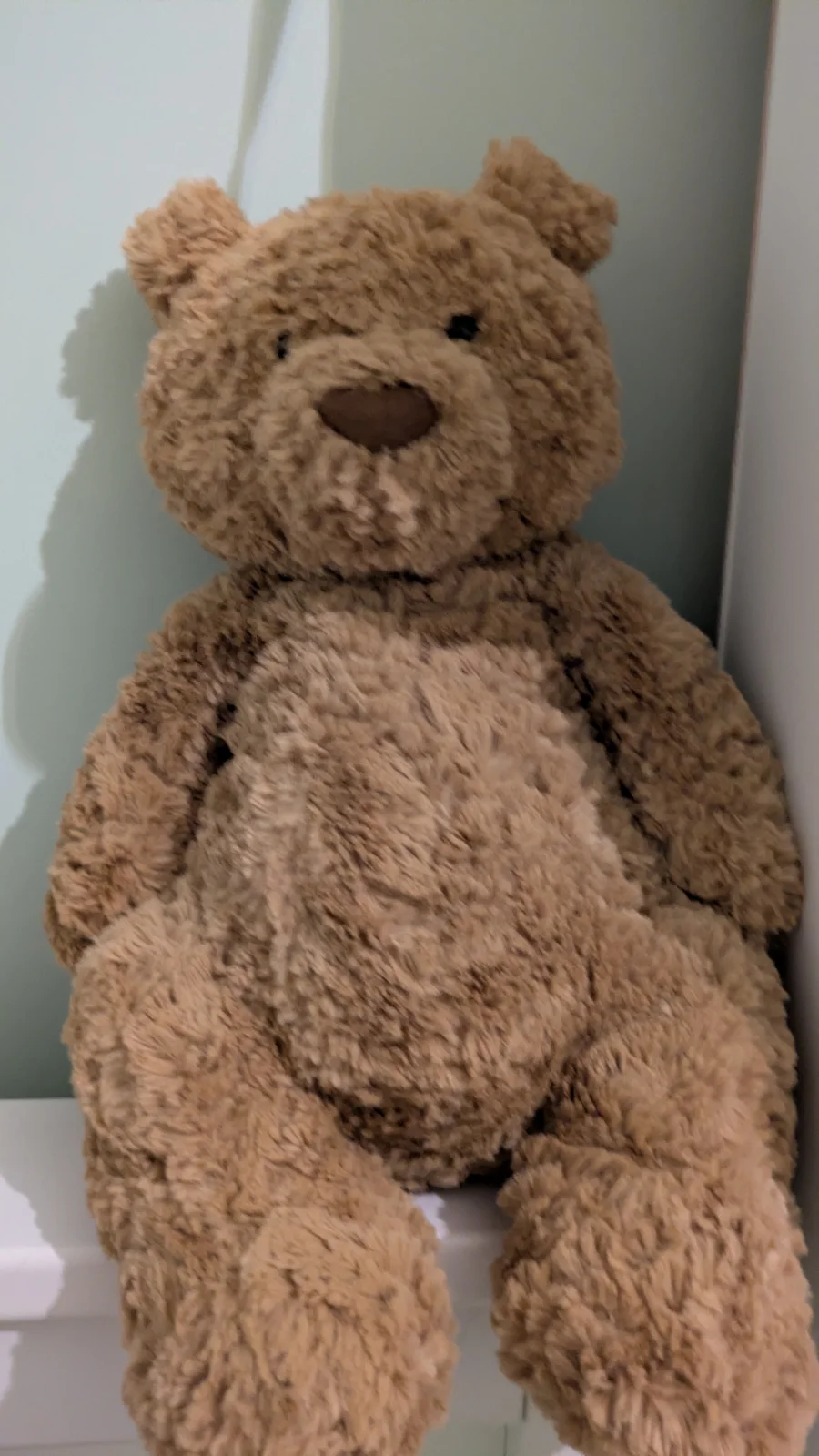 Front - Bartholomew Bear - Large photo by Littlebean4867