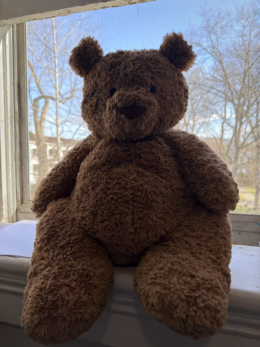 Front - Bartholomew Bear - Really Big photo by katsjellies