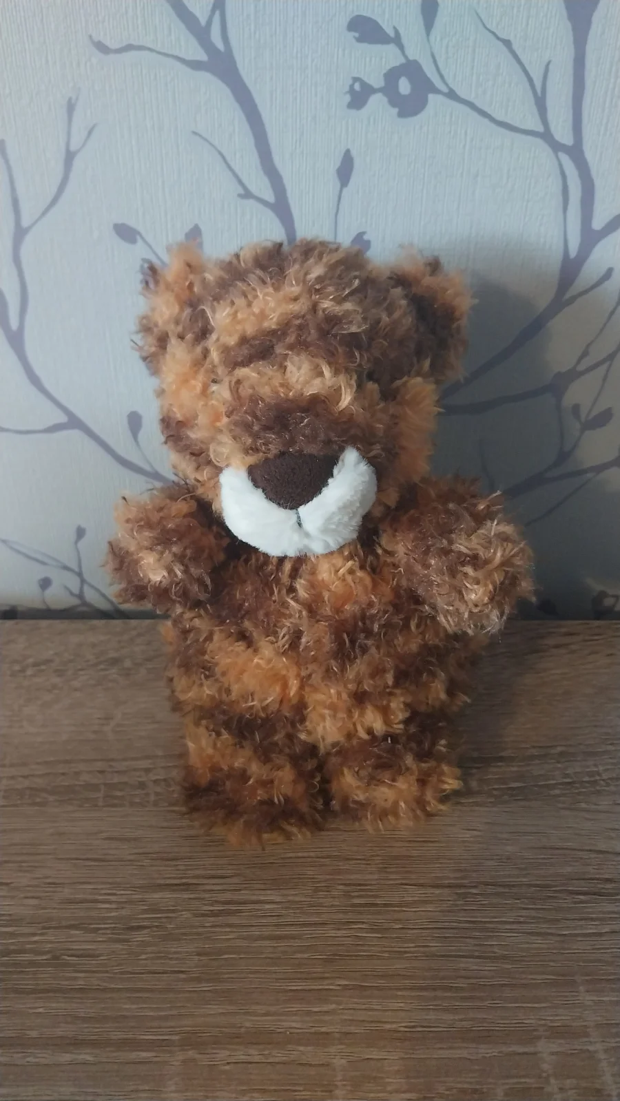 Front - Little Tiger photo by Hope_Collectablez