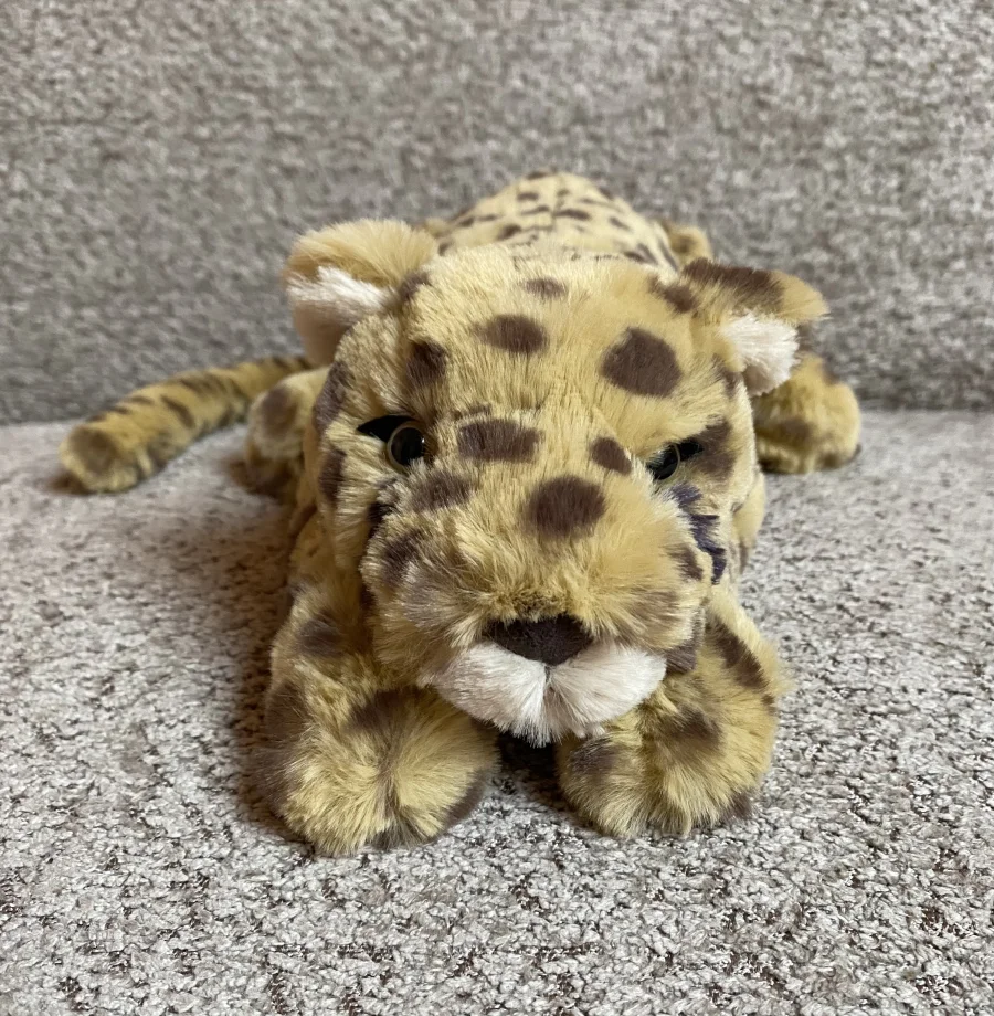 Front - Charley Cheetah - Little photo by JellyDragonLover