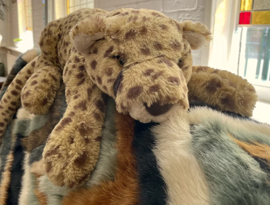 Front - Charley Cheetah photo by Mimi_67