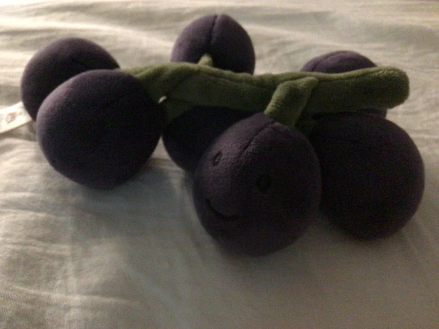 Front - Fabulous Fruit Grapes photo by SadieBrawr