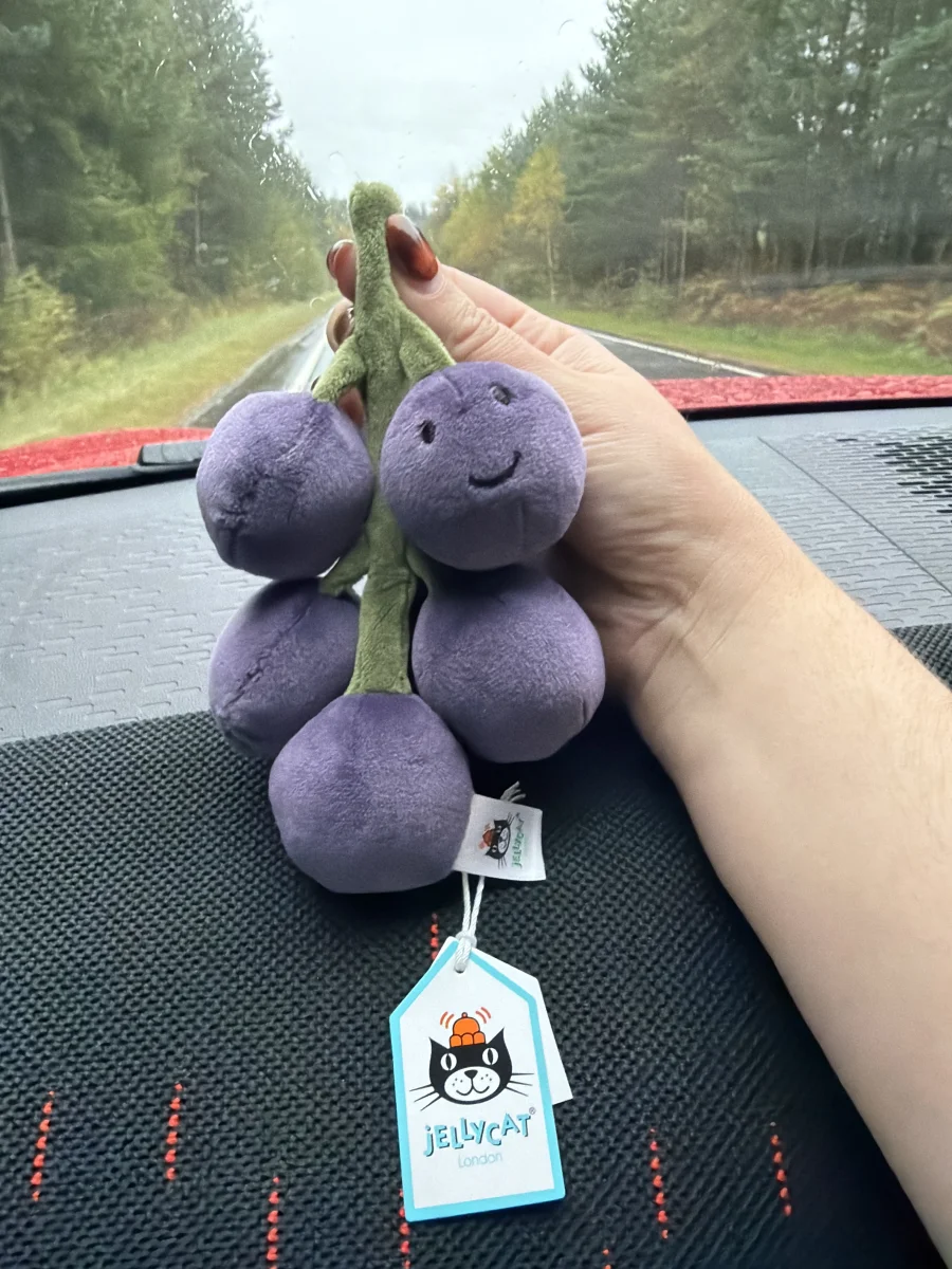 Front - Fabulous Fruit Grapes photo by Madison_Marie