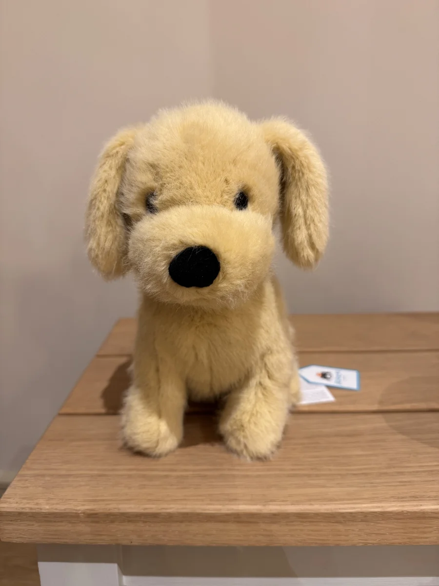 Front - Golden Puppy photo by Trace