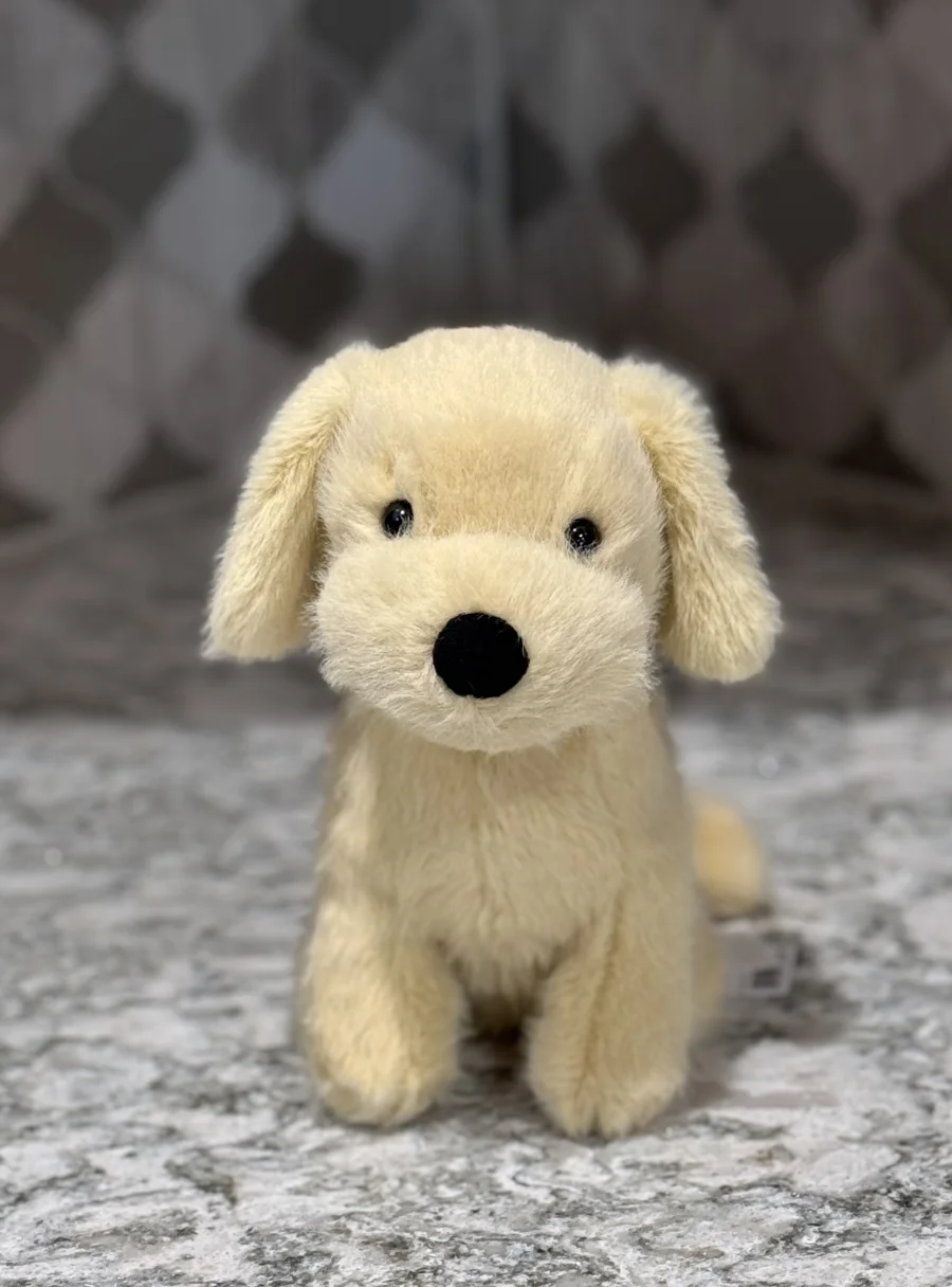 Front - Golden Puppy photo by SnowLeopard821