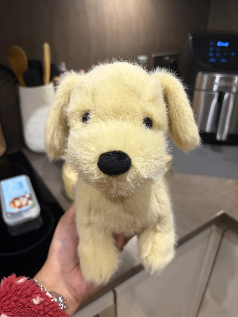 Front - Golden Puppy photo by Seni113
