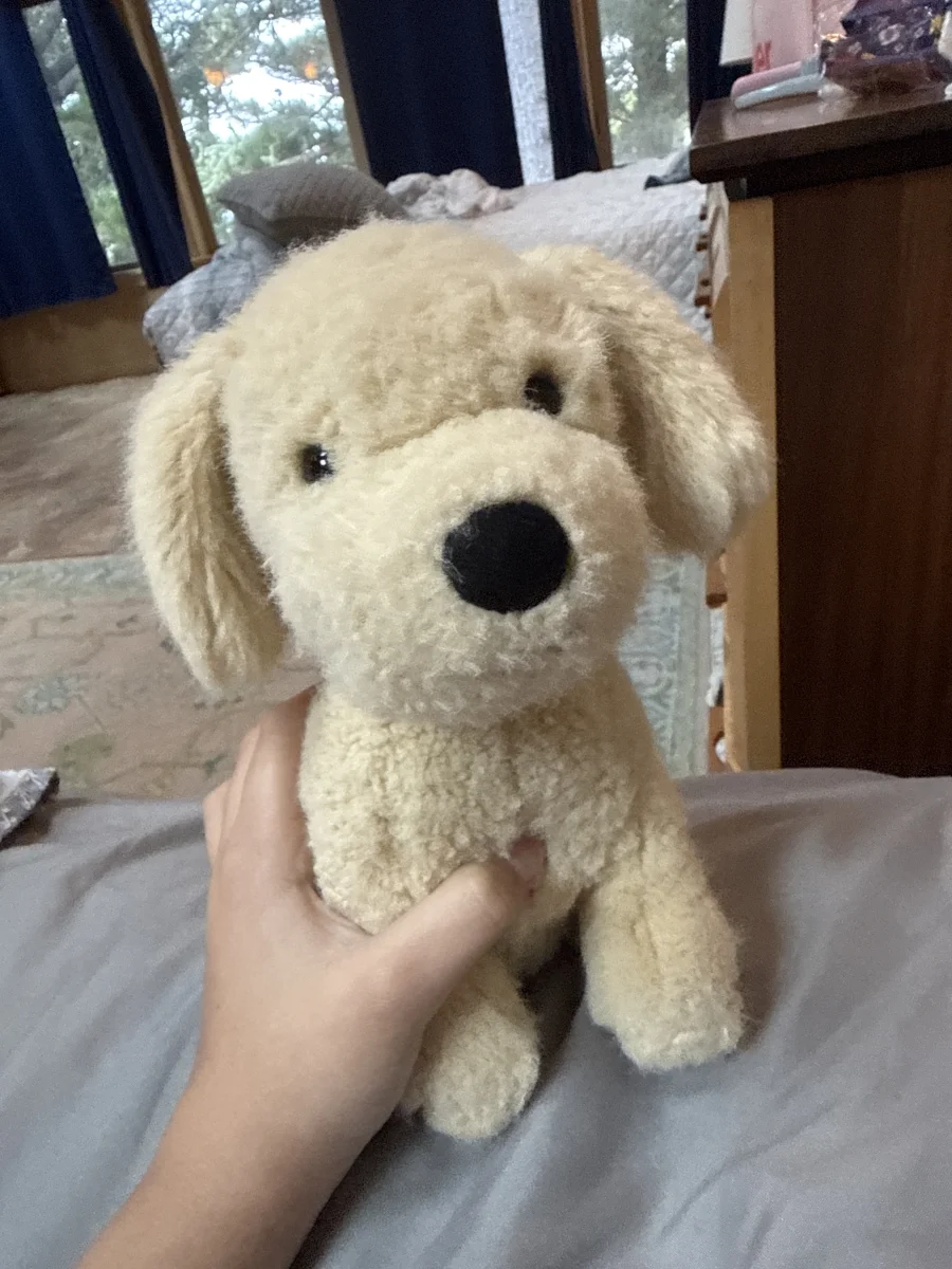 Front - Golden Puppy photo by Peanutforthewin