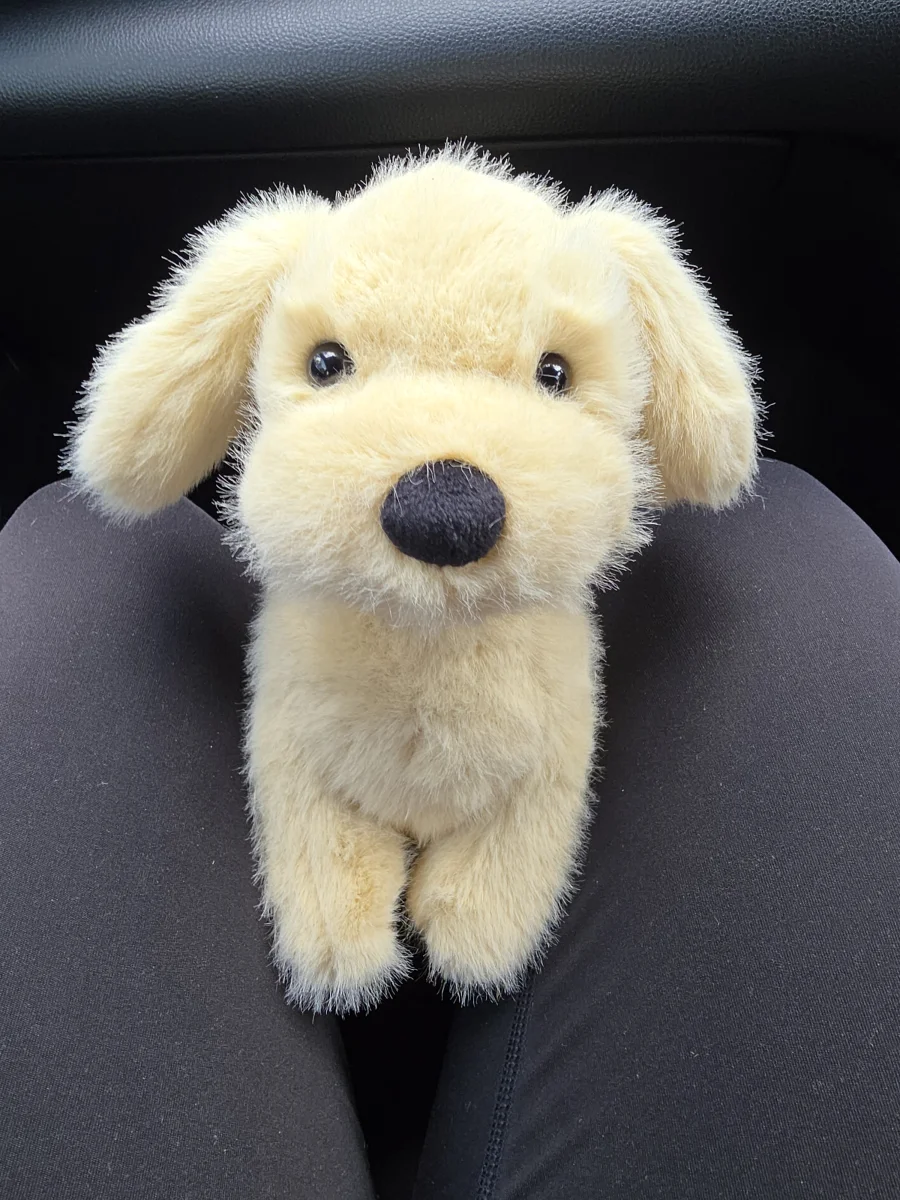 Front - Golden Puppy photo by QtJellies