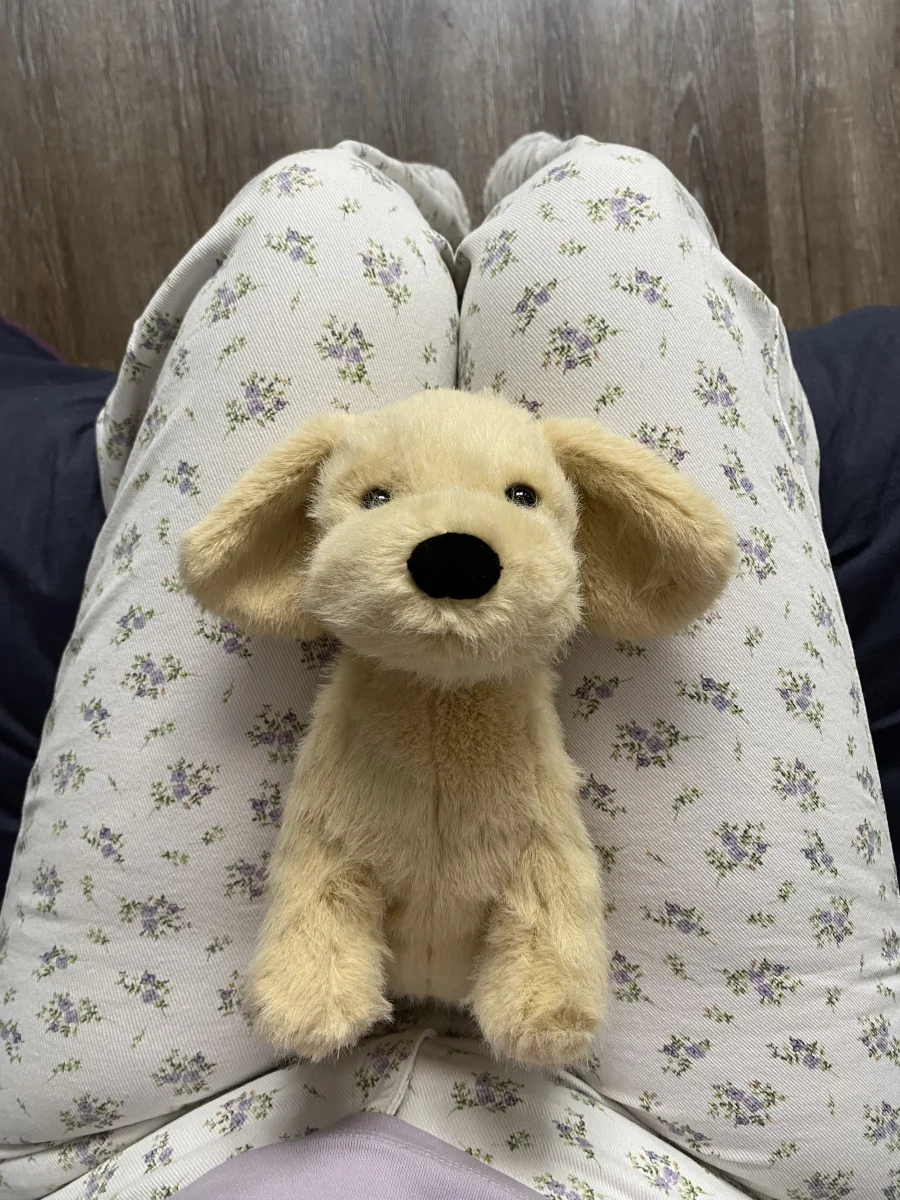Front - Golden Puppy photo by CélineJellies