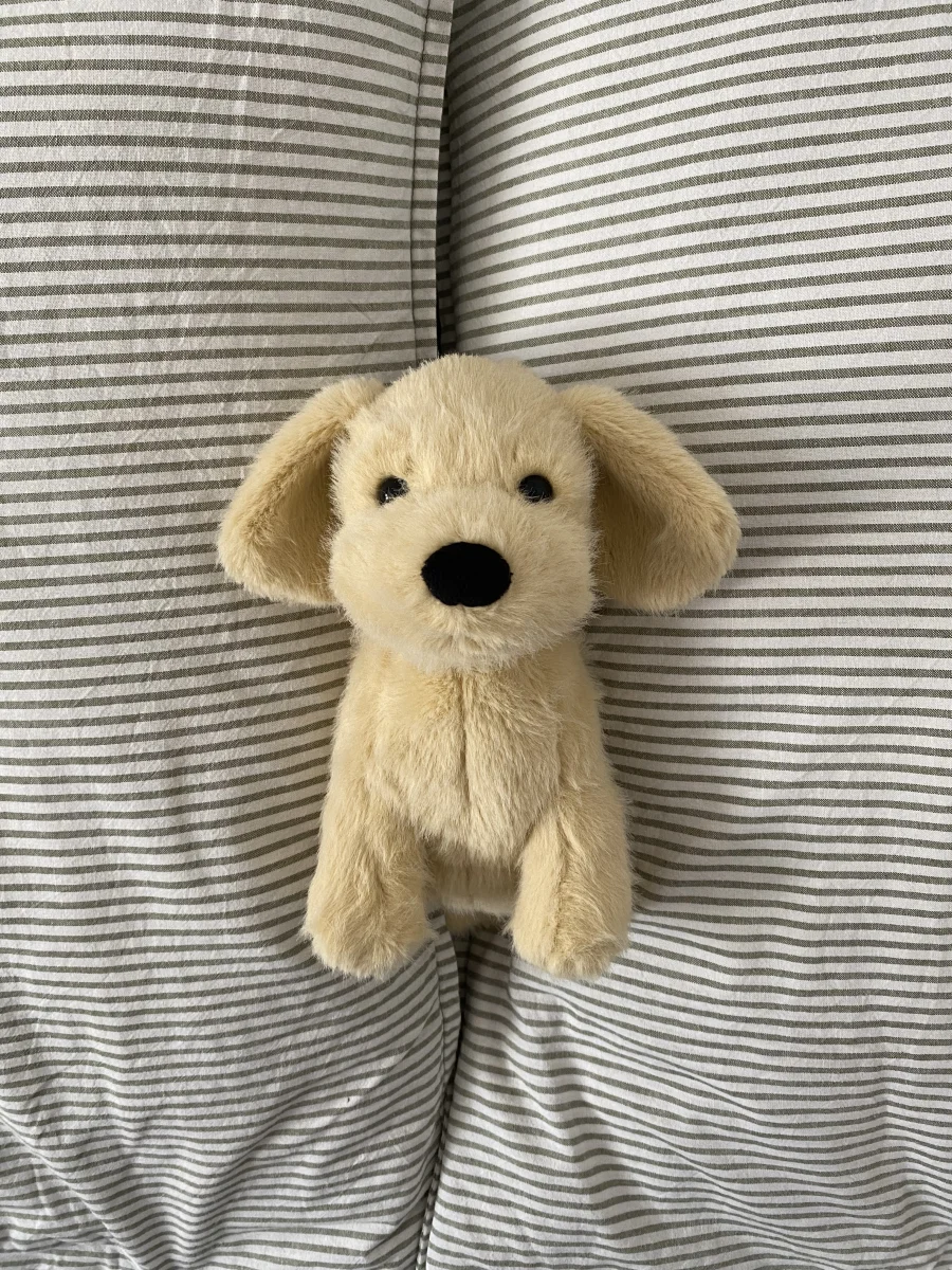 Front - Golden Puppy photo by CélineJellies