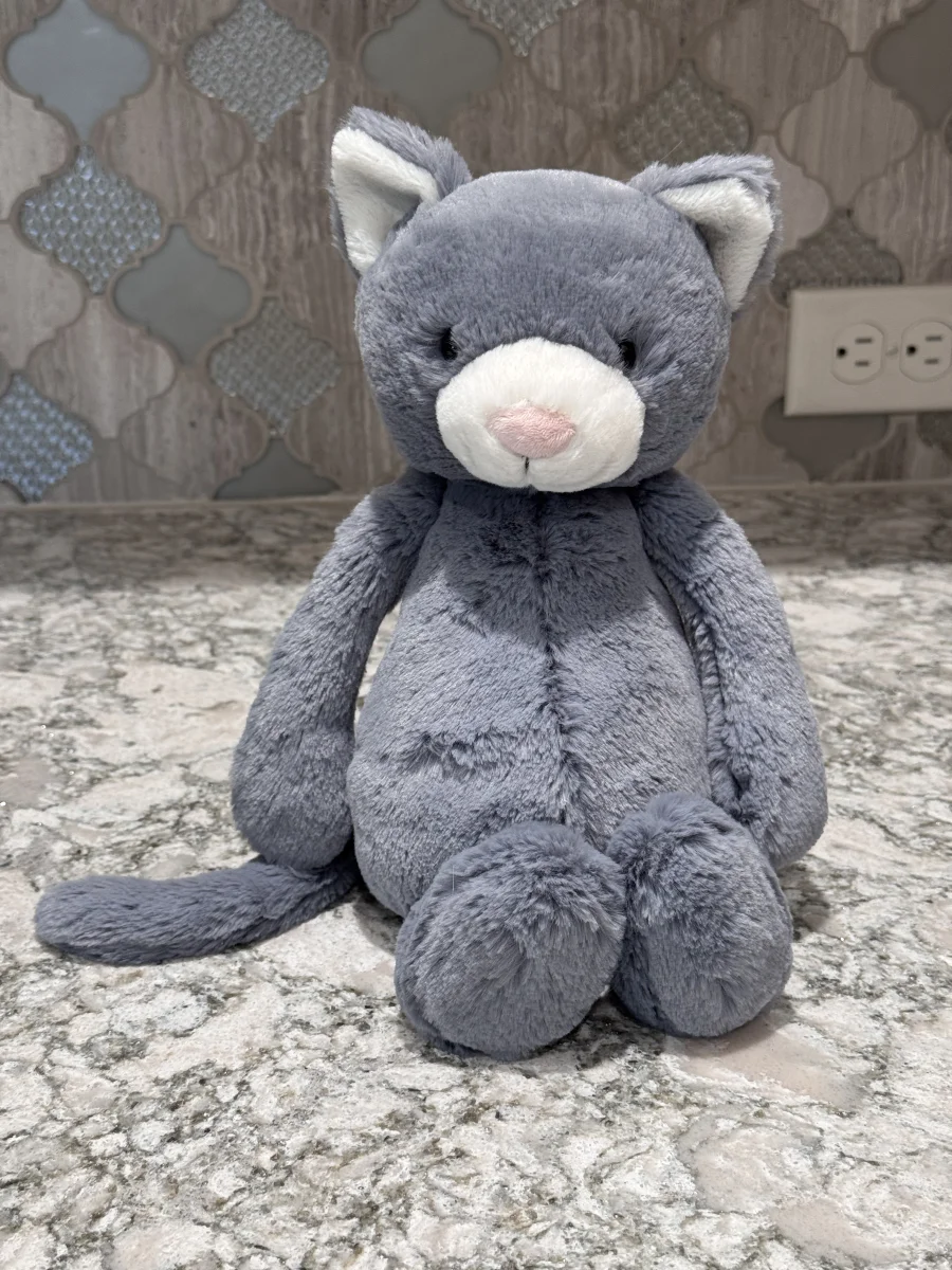 Front - Bashful Kitten Original photo by SnowLeopard821
