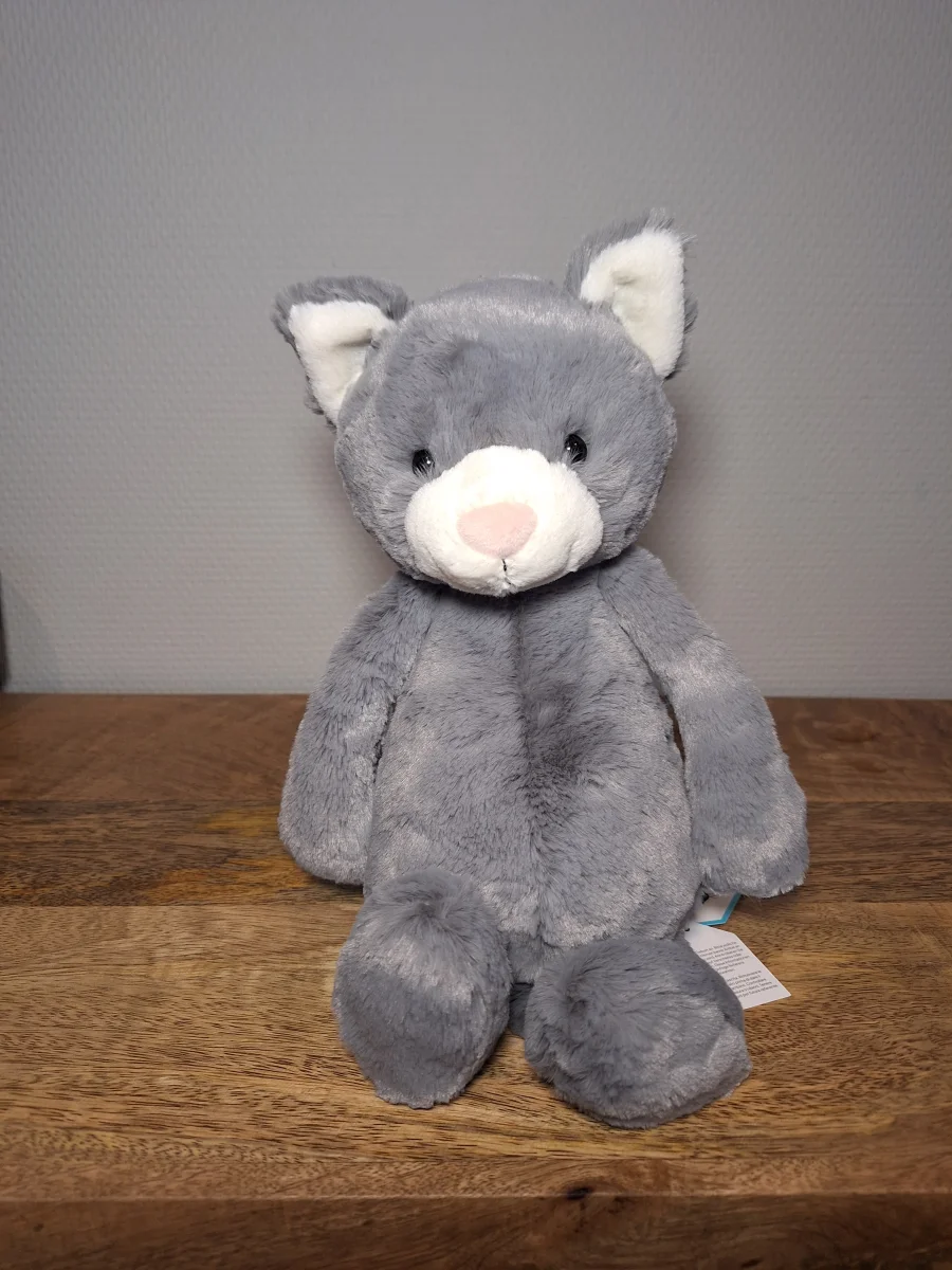 Front - Bashful Kitten Original photo by Sofie