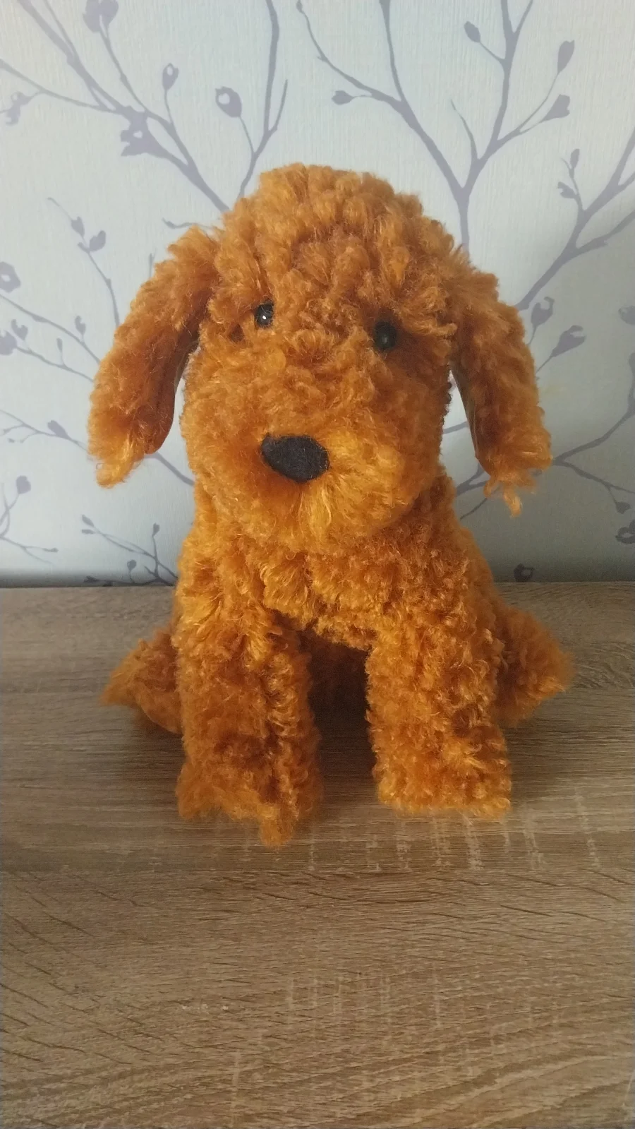 Front - Cooper Doodle Dog photo by Hope_Collectablez