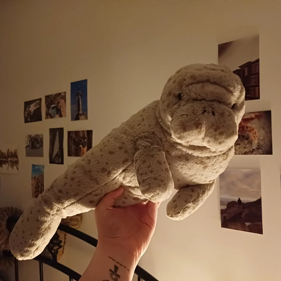 Front - Magnus Manatee photo by herbgardenplush