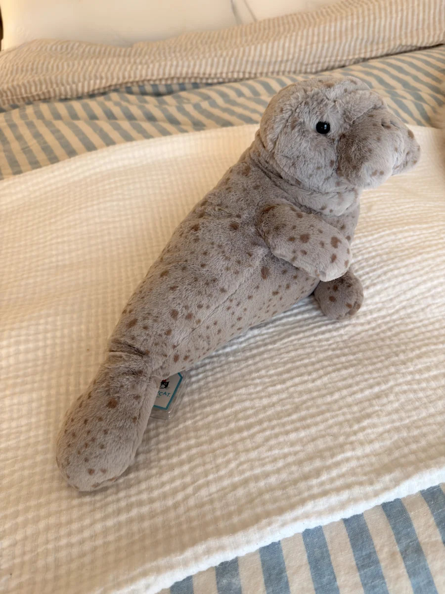 Side - Magnus Manatee photo by Saltedcoffee