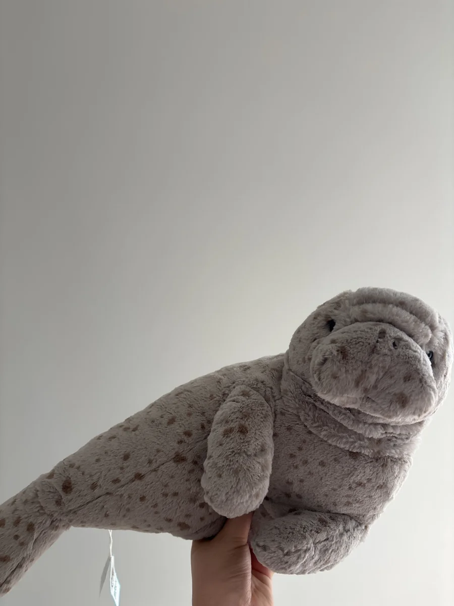 Front - Magnus Manatee photo by EmilyJellyBear