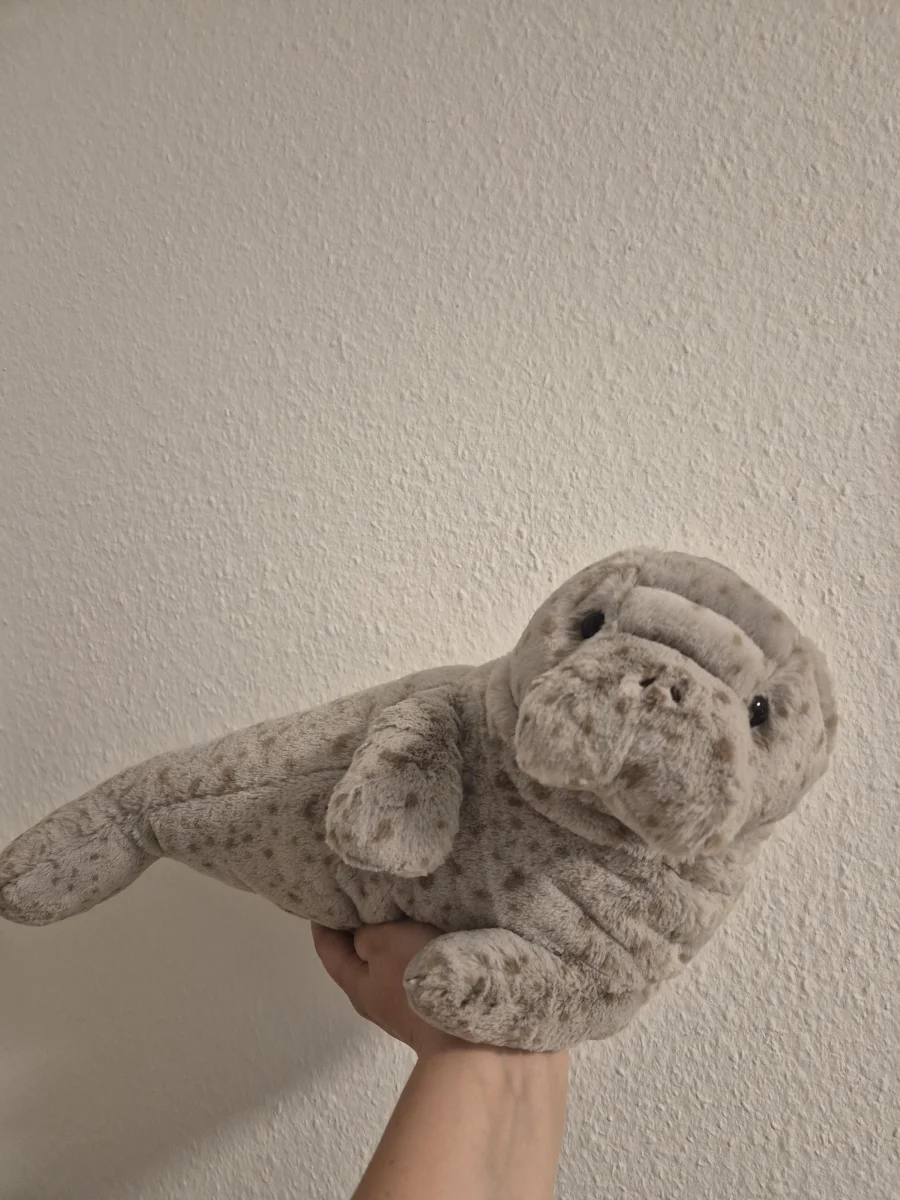 Front - Magnus Manatee photo by Helena