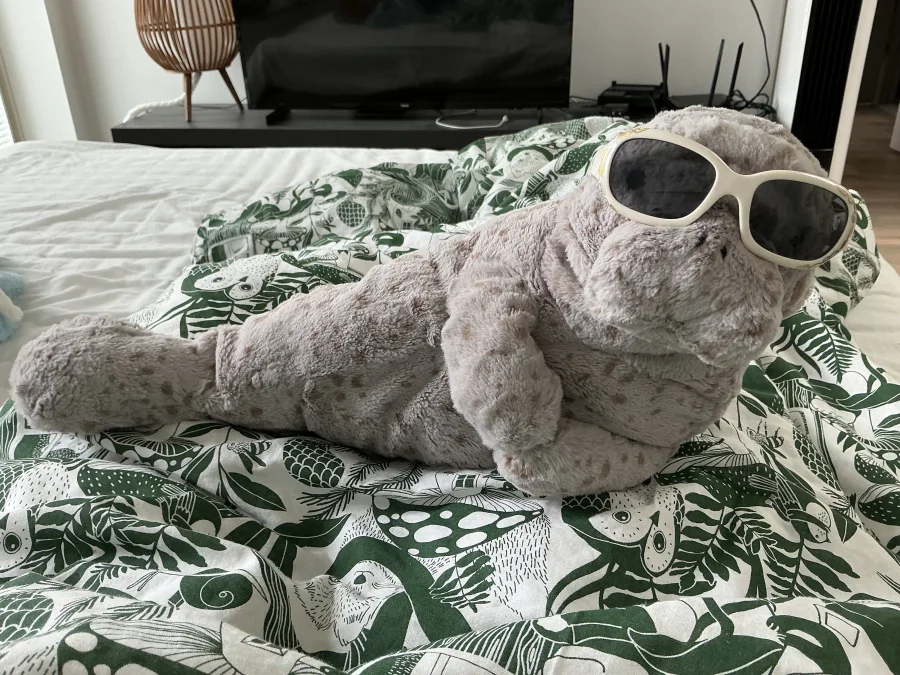 Lifestyle - Magnus Manatee photo by Teddy
