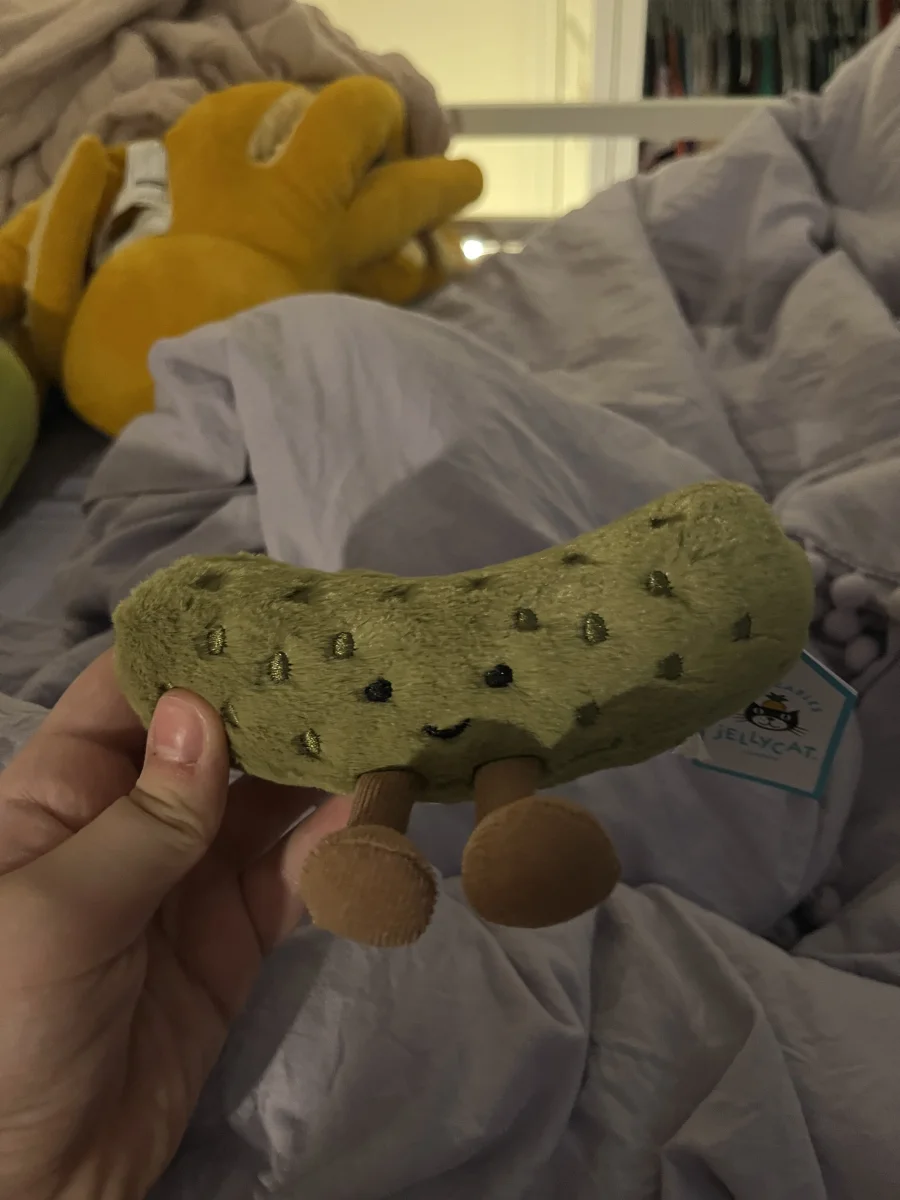 Front - Amuseables Pickle photo by Brook_21614