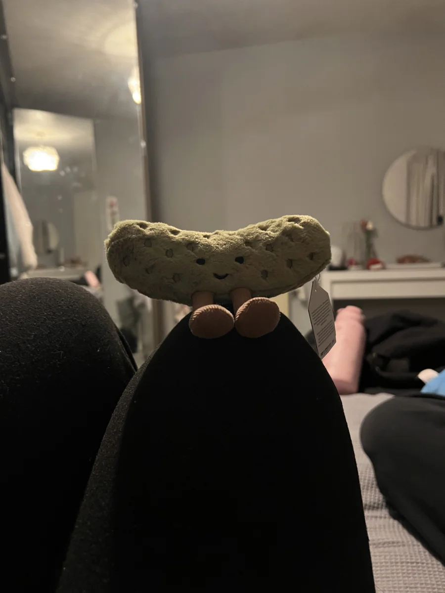 Front - Amuseables Pickle photo by kaceymae<3