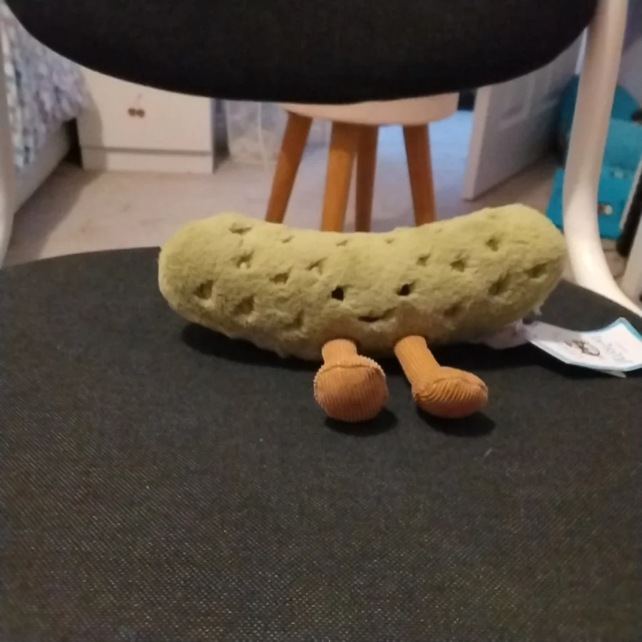 Front - Amuseables Pickle photo by TheJellyCollector
