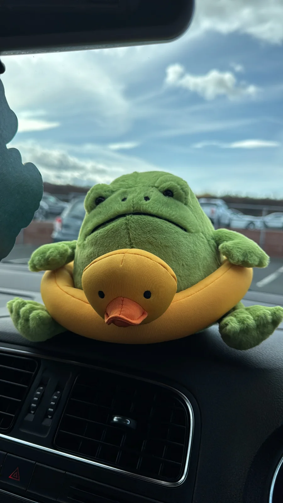 Front - Ricky Rain Frog Rubber Ring photo by ellie28