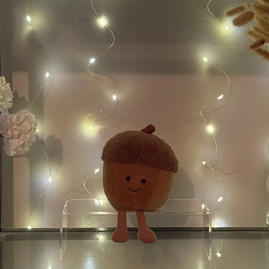 Front - Amuseables Acorn photo by laureneaglex