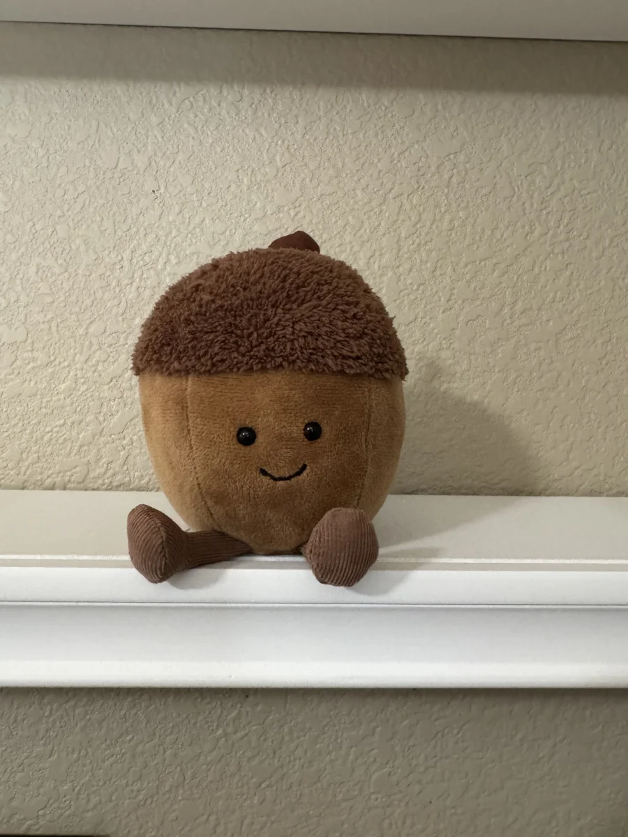 Front - Amuseables Acorn photo by jelly_kayla
