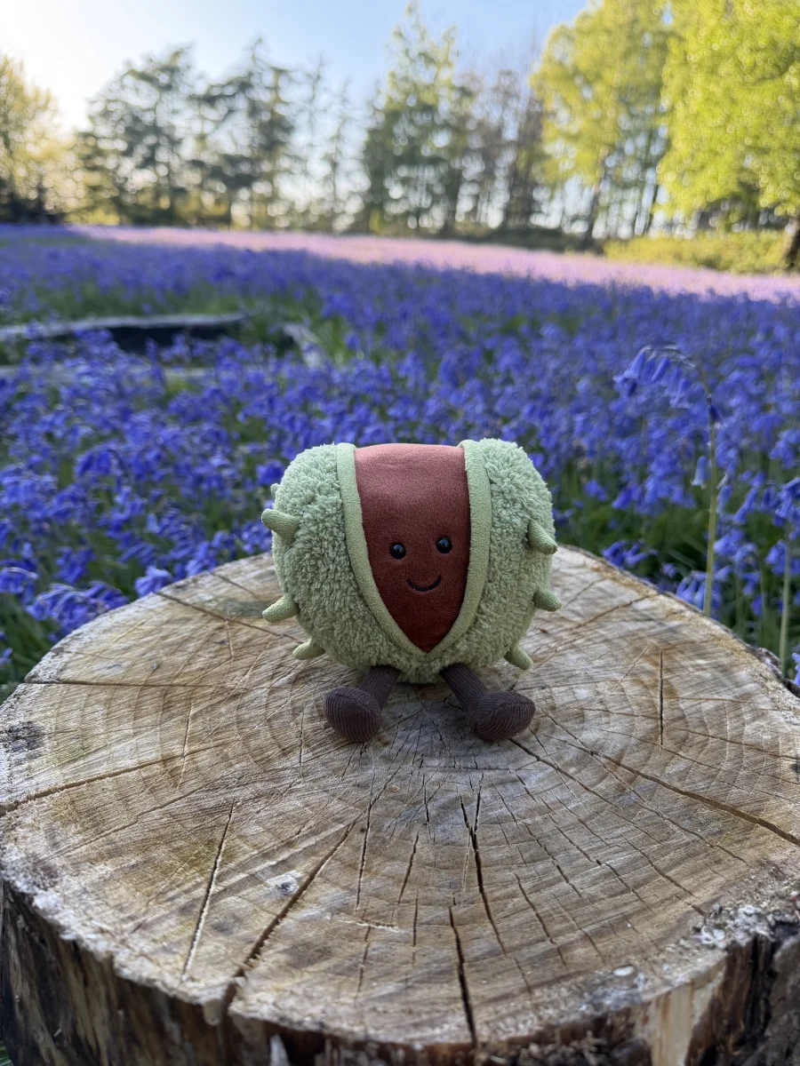 Front - Amuseables Conker photo by Jellycat__02