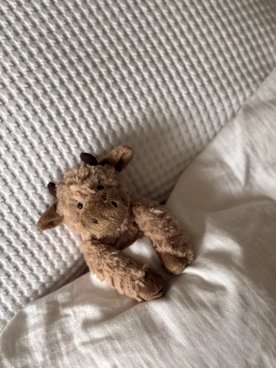 Front - Fuddles Calf photo by Lottie1311 @jellycatcrewatthirtytwo