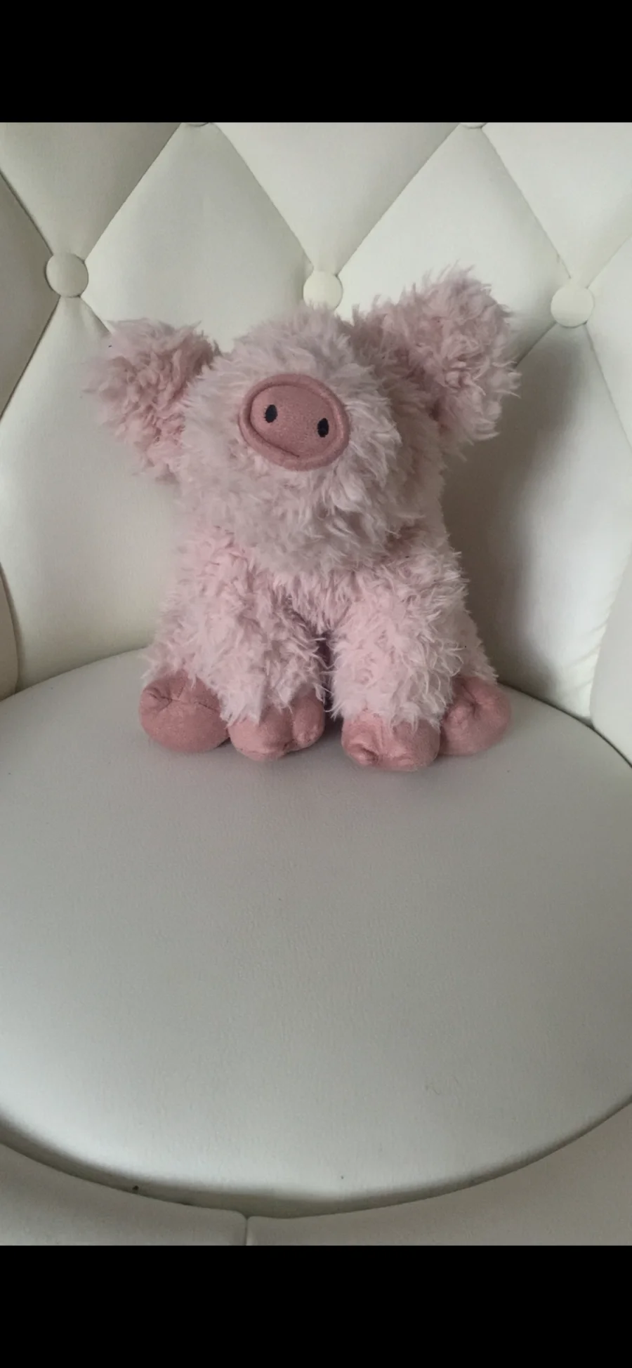 Front - Curvie Pig photo by its.amb3rrx