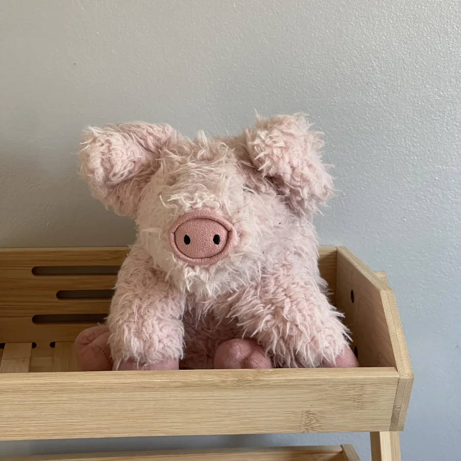 Front - Curvie Pig photo by charlotteriddettepage