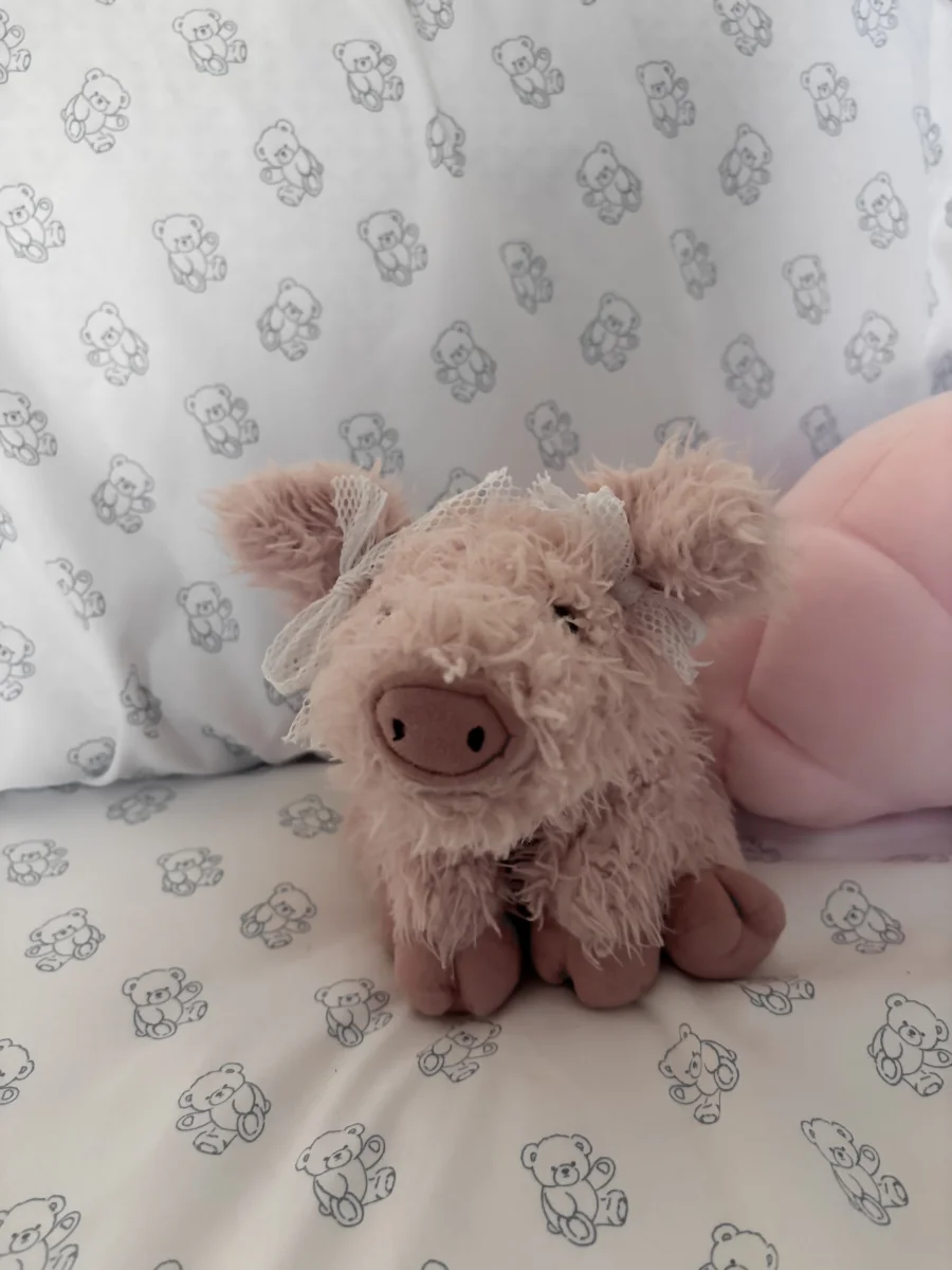 Front - Curvie Pig photo by cclovesjellycat